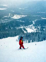 telemark1