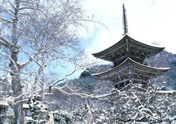����: snowjapan.com