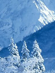 ����: snowjapan.com
