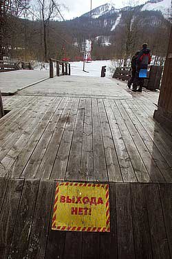 Экологи уверены, что только президент Путин может помочь Сочи выйти в фавориты олимпийской гонки. Фото: Алексей Куденко / Коммерсантъ