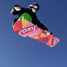 С 24 по 27 января 2008 года в США состоялись уже двенадцатые по счету X-Games.