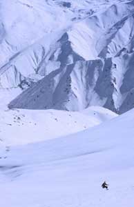 Гульмарг, Индия. Фото: www.skihimalaya.com.au