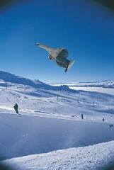 Burton NZ Open � ��������