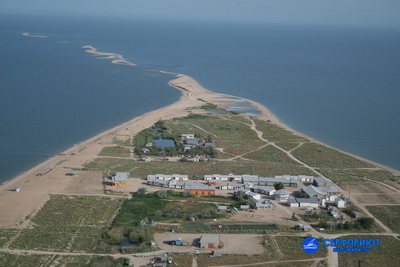 Должанка