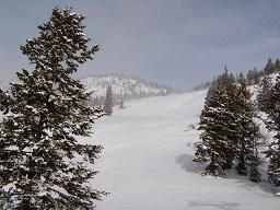 Jackson Hole �� ������ ������������ ���� � 400 ����� ���������