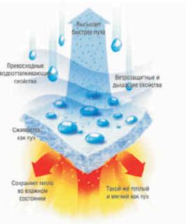 PrimaLoft ��������� �������