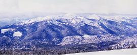 �������� ������������ ������� Tamarack (���, ������)
