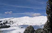 , , 2005 .