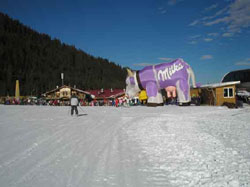 Корова Milka