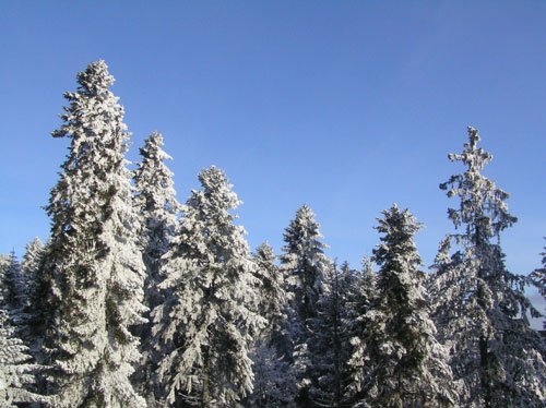 Боровец, Болгария