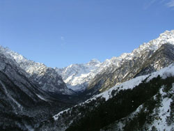 Цейский ледник