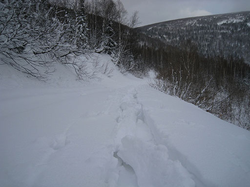 Лыжня