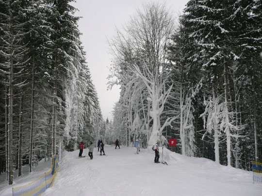 Узкая трасса
