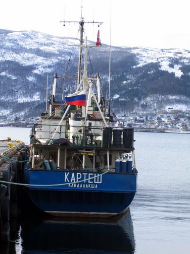 В гавани нашли земляков