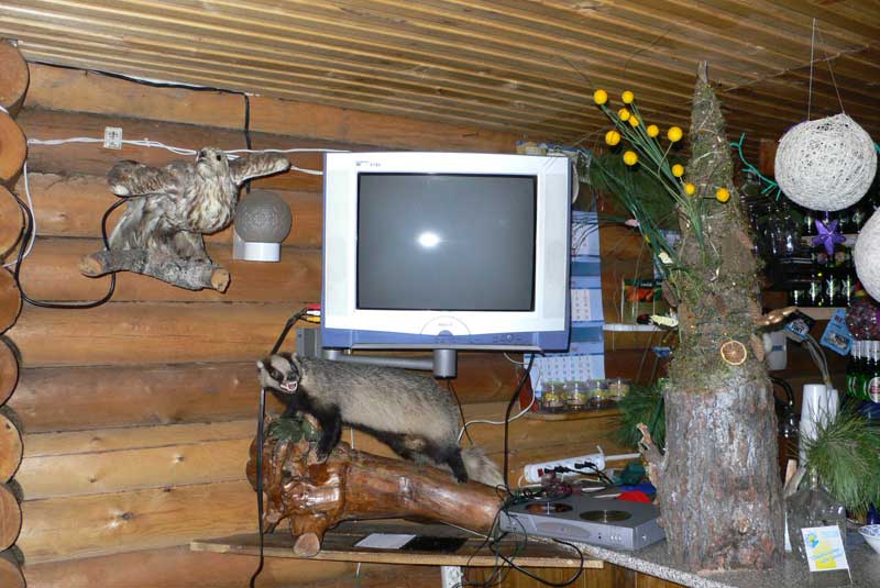 Бар
