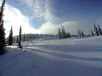 19 ���. 2002� �������� ����