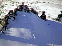 28 ���. 2003�   ������ ��� �������