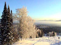 15 ���. 2003�  ���