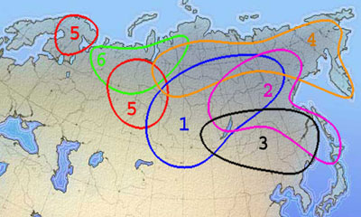 На карте показано распространение этих типов лыж.