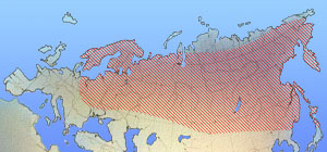 Лыжи к 12-му веку