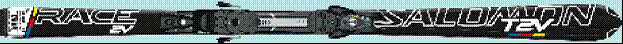 SALOMON Equipe 2V Powerline (���������)