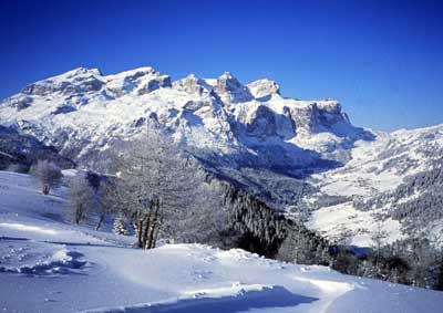 SELLA: ������ �� �����.  ����� ������ (���� �����, ������ / ���������, ���� �� �����)