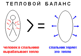 Как выбрать спальник